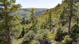 3706 Aspen Way - Photo 51