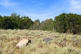 2173 Westward Ho Rd - Photo 30