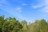 2173 Westward Ho Rd - Photo 39