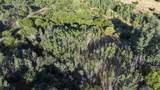 1200 Lands Creek Rd - Photo 29