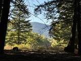 1200 Lands Creek Rd - Photo 41