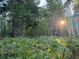 1200 Lands Creek Rd - Photo 43