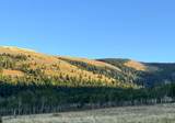 1200 Lands Creek Rd - Photo 45
