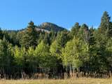 1200 Lands Creek Rd - Photo 48