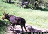 1200 Lands Creek Rd - Photo 56