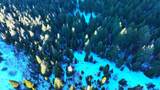 1200 Lands Creek Rd - Photo 8