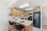 1245 Privet Dr - Photo 6