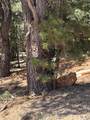 2375 Douglas Trl - Photo 11