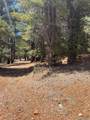 2375 Douglas Trl - Photo 12