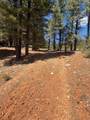 2375 Douglas Trl - Photo 13