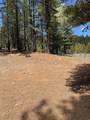 2375 Douglas Trl - Photo 15