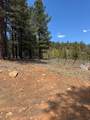 2375 Douglas Trl - Photo 16