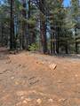 2375 Douglas Trl - Photo 17