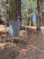 2375 Douglas Trl - Photo 5