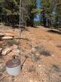 2375 Douglas Trl - Photo 8