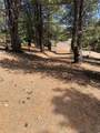 2375 Douglas Trl - Photo 10