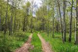 6863 Pines Ranch Rd - Photo 22