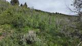 4060 Wildlife Way - Photo 2