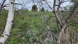 4060 Wildlife Way - Photo 11