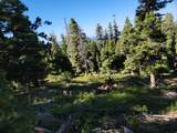 6220 Brook Ln - Photo 4
