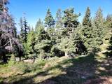 6220 Brook Ln - Photo 6