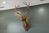 236 Woodside Ave - Photo 12