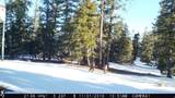  Address Not Published - Photo 23