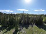 39 Quill Rd - Photo 11