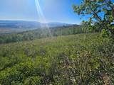 23165 Hillside Dr - Photo 9