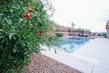 296 Zion Trail - Photo 59