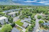 4245 1650 - Photo 50