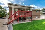 4245 1650 - Photo 7