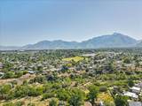 10338 Violet Dr - Photo 36