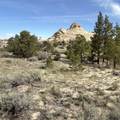 2196 Teasdale Rd - Photo 5
