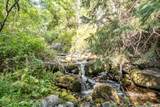 8928 Timphaven Rd - Photo 51