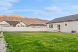 2415 Boxwood Ln - Photo 31