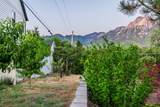 4539 Willow Rd - Photo 62