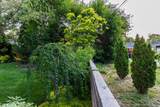 4539 Willow Rd - Photo 63