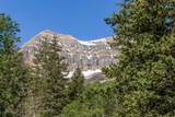 8841 Alpine Loop Rd - Photo 19