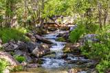8841 Alpine Loop Rd - Photo 71
