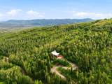 10129 Basin Canyon Rd - Photo 10