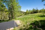 438 Eagles Roost St - Photo 66