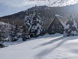 5698 Caribou Dr - Photo 30