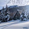 5698 Caribou Dr - Photo 31