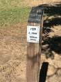 135 300 - Photo 18