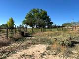 135 300 - Photo 19
