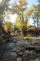 10830 18750 - Photo 1