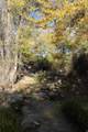 10830 18750 - Photo 14