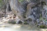 10830 18750 - Photo 5