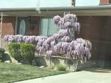 1932 4975 - Photo 4